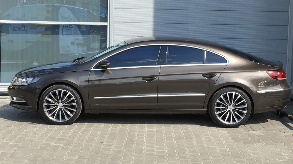 Volkswagen Passat CC Муха 3