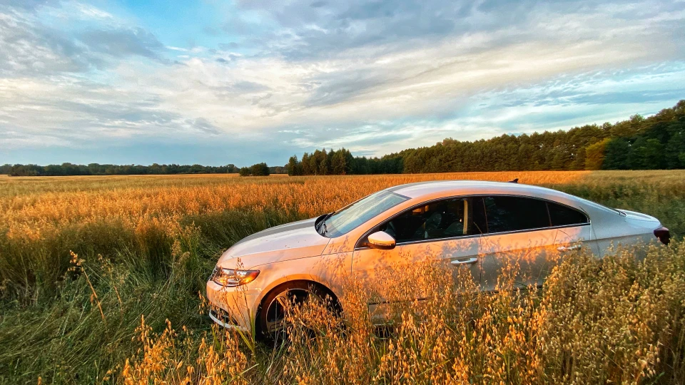 Volkswagen Passat CC Зебра 2