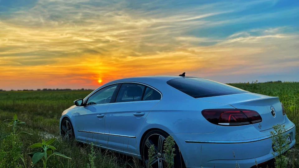 Volkswagen Passat CC Зебра 3