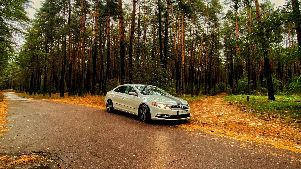 Volkswagen Passat CC Зебра 4