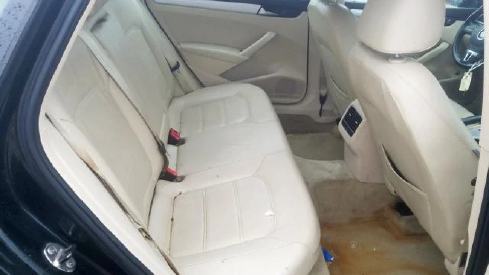 Volkswagen Passat US 5