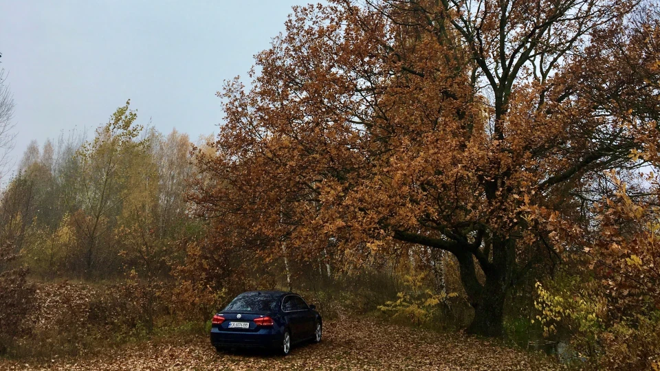 Volkswagen Passat US 2.5 SE Валіза 2