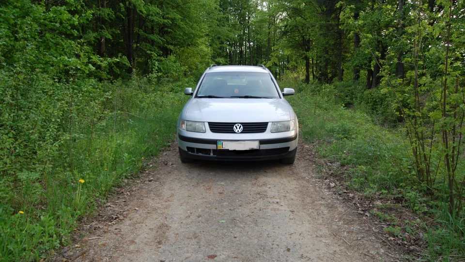 Volkswagen Passat Variant 2