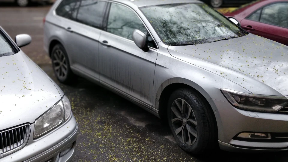 Volkswagen Passat Variant 2