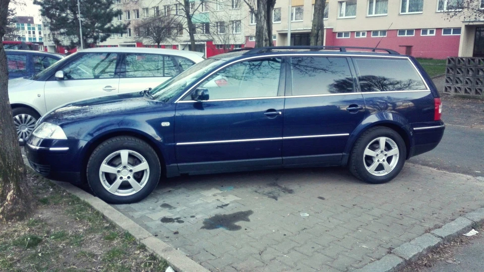 Volkswagen Passat Variant 1.9 TDI 96 KW 2