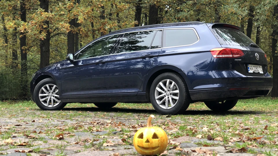 Volkswagen Passat Variant BAKLAZHAN 🍆🍆🍆