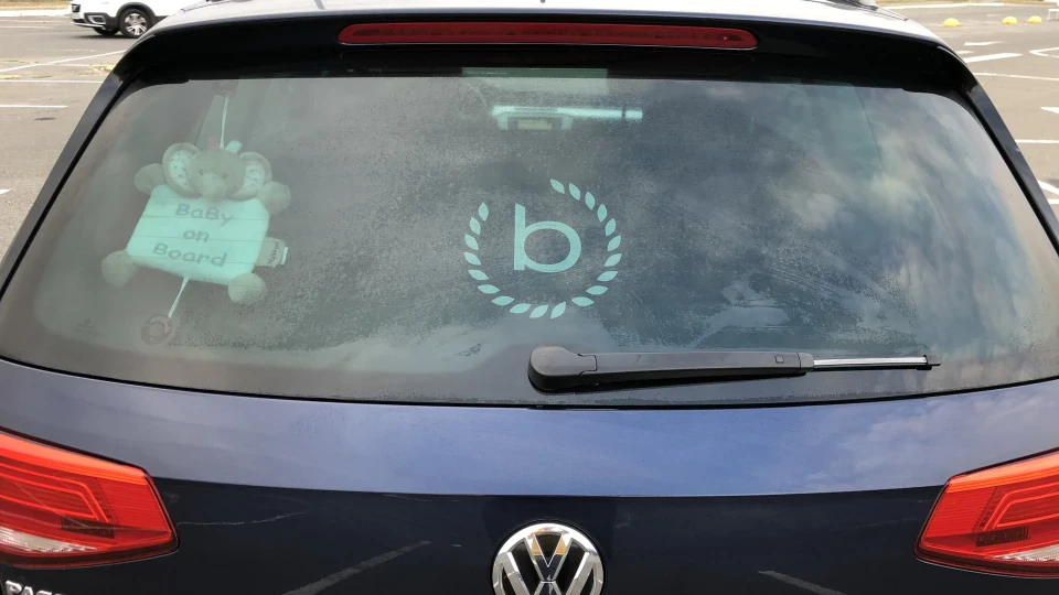 Volkswagen Passat Variant BAKLAZHAN 🍆🍆🍆 3