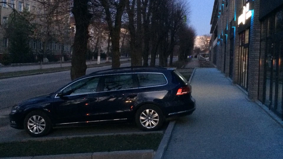 Volkswagen Passat Variant Blue birdie 2