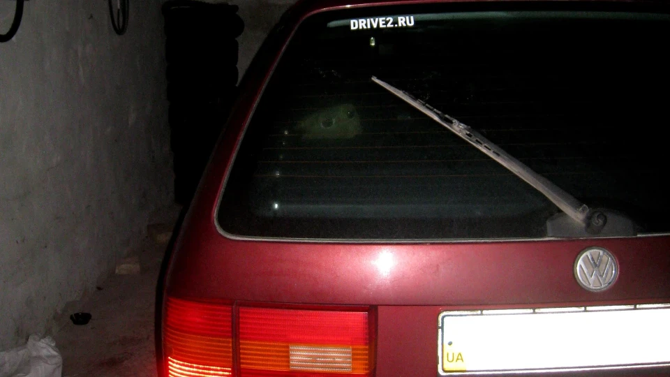 Volkswagen Passat Variant Червона бестія