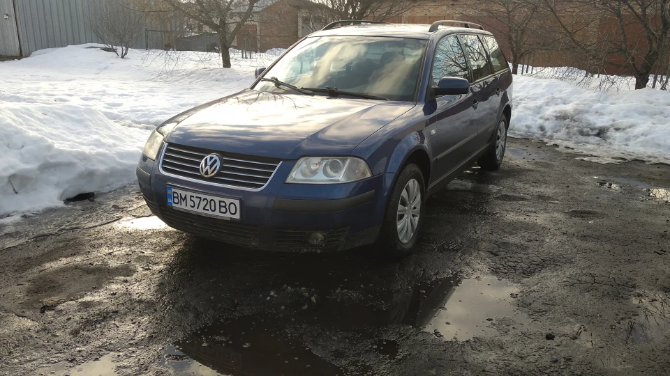 Volkswagen Passat Variant Мурчик 2
