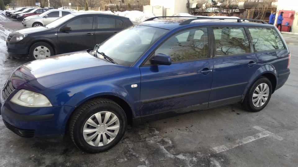Volkswagen Passat Variant Мурчик 3