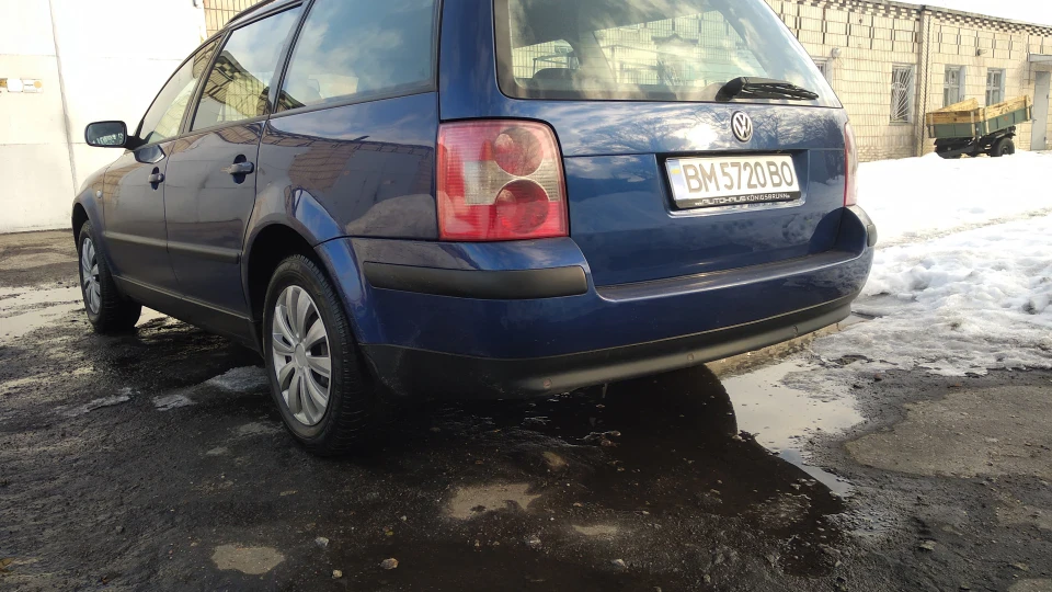 Volkswagen Passat Variant Мурчик 5