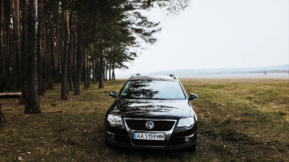 Volkswagen Passat Variant Пасатик 5