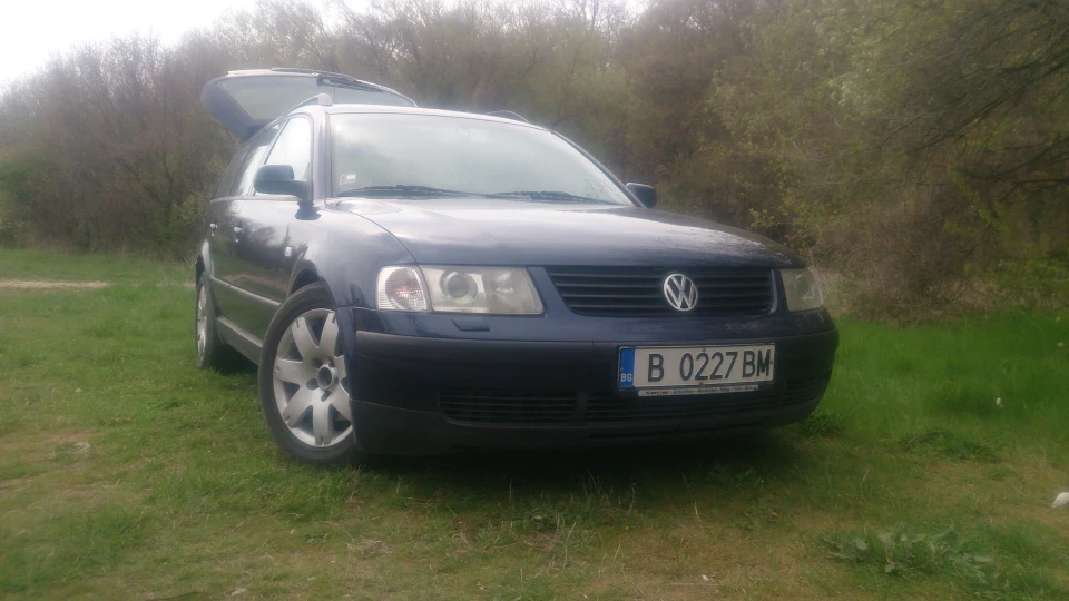 Volkswagen Passat Variant Синій Лев 2