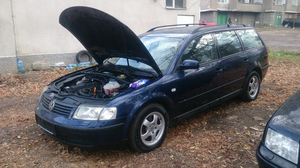 Volkswagen Passat Variant Синій Лев 3