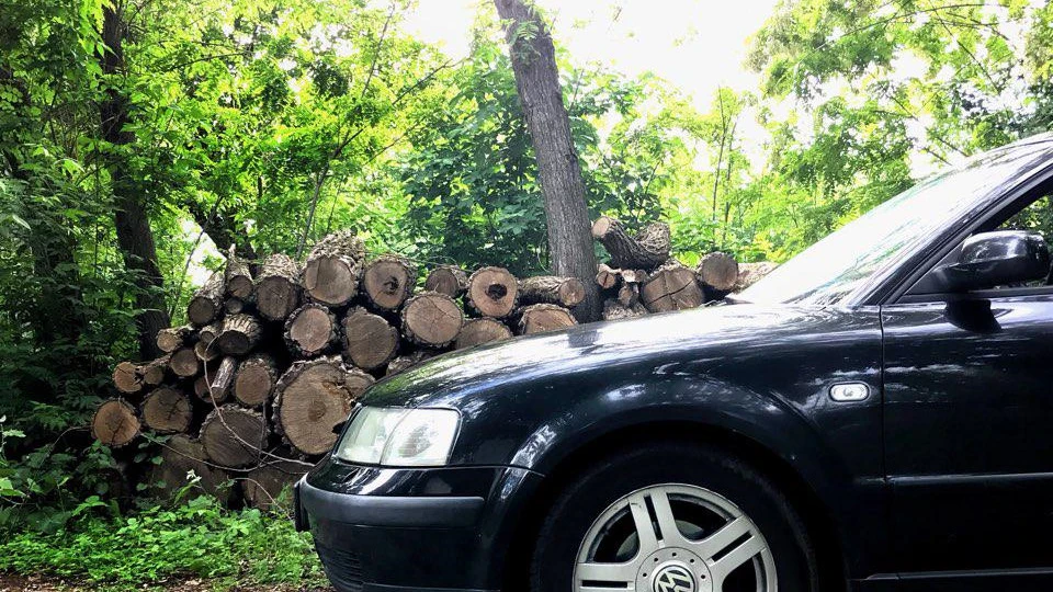 Volkswagen Passat Variant Турбо Вепр 4