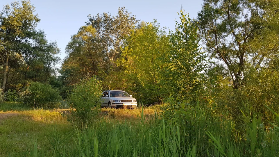 Volkswagen Passat Variant ТурбоСарайчик ) 4