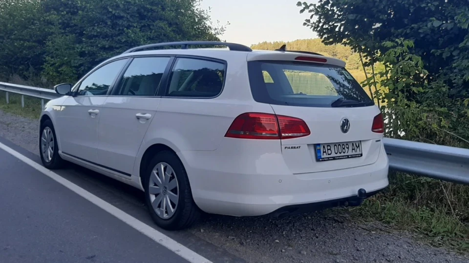 Volkswagen Passat Variant white horse 2