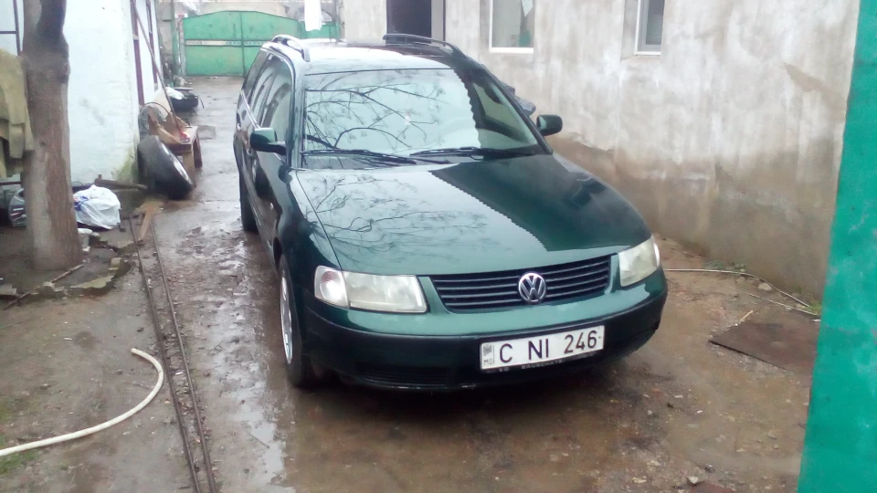 Volkswagen Passat Variant Зелений дракончик 2