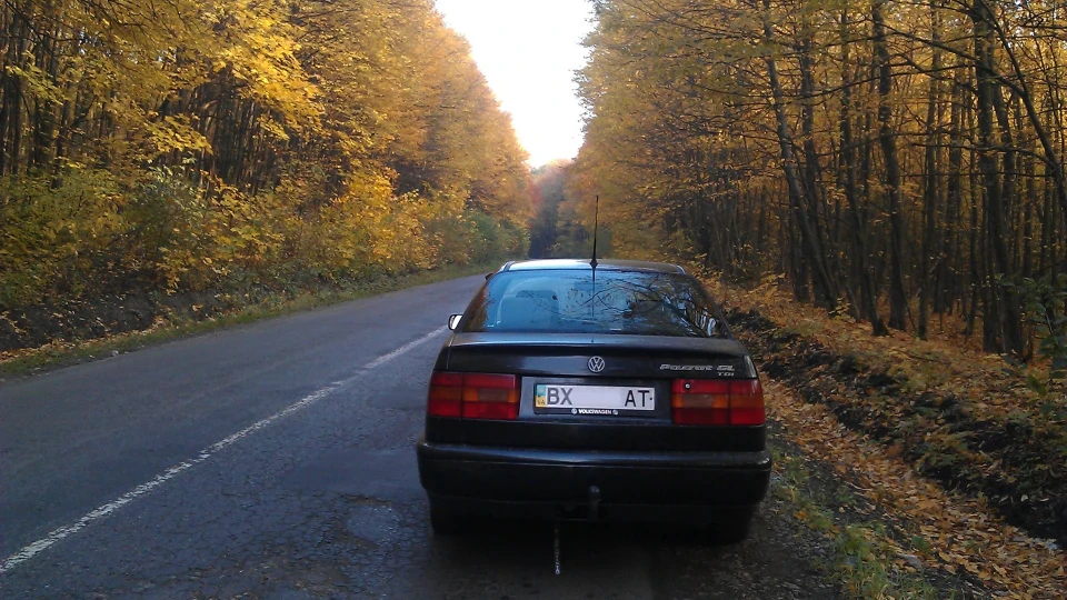 Volkswagen Passat 5