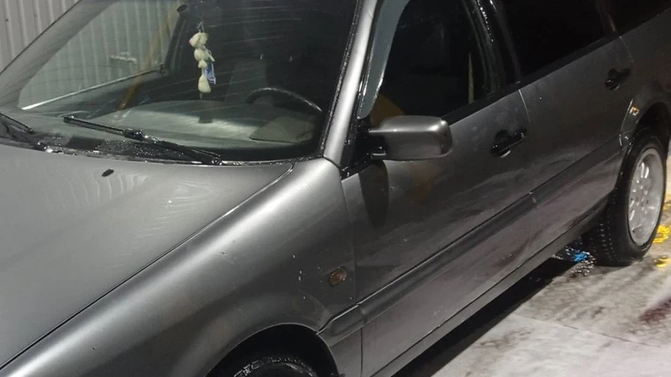 Volkswagen Passat 2.0 сіра тінь 2