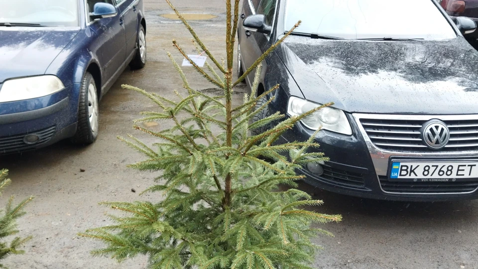 Volkswagen Passat 2.0 tdi BMR