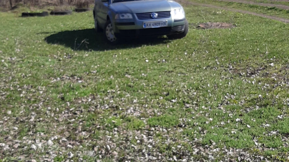 Volkswagen Passat b5+ 2.0 зелений дракоша 2