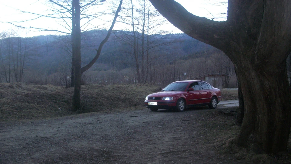 Volkswagen Passat B5 Red Cardinal 4