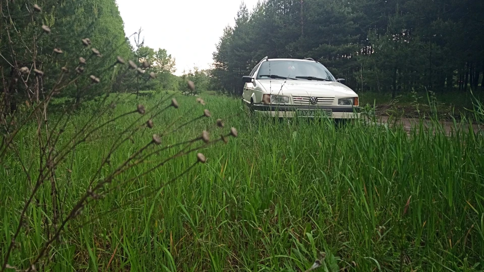 Volkswagen Passat Білий 5