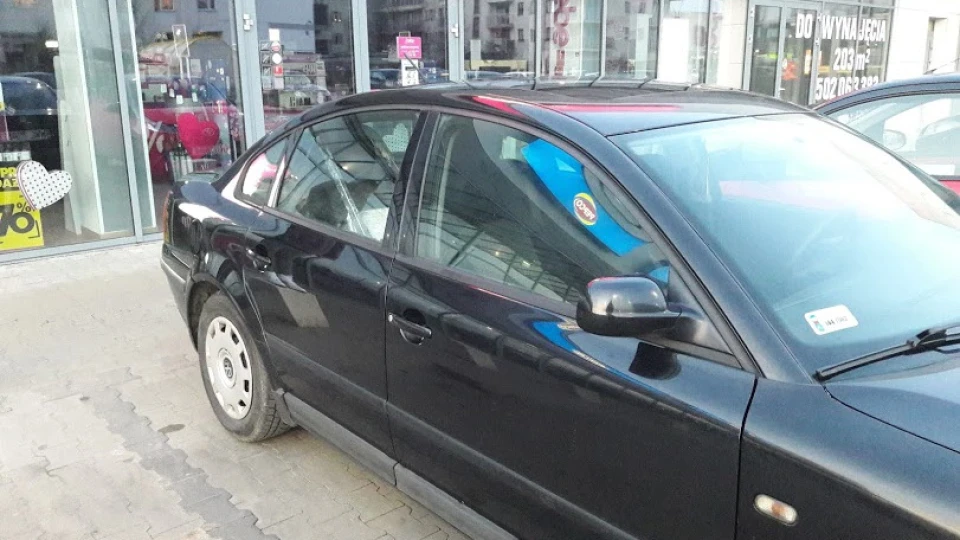 Volkswagen Passat Черниш 2