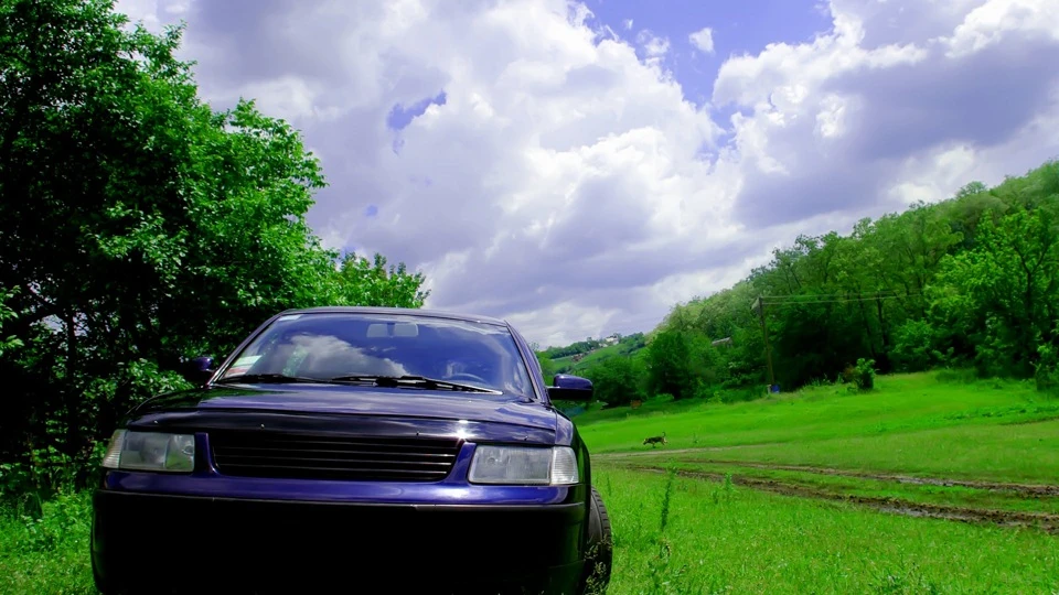 Volkswagen Passat Дельфін