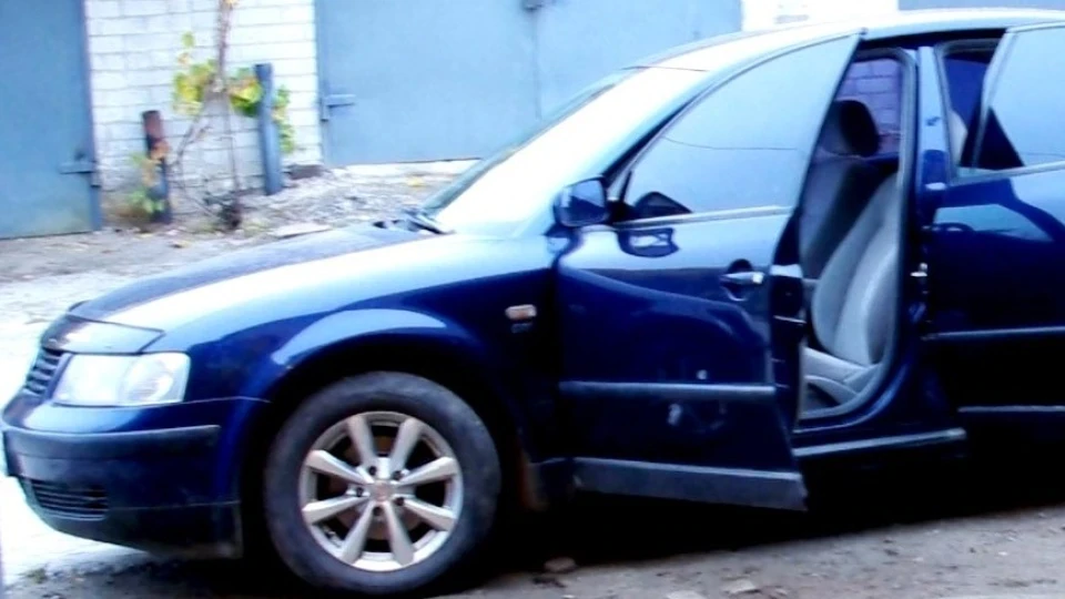 Volkswagen Passat Дельфін 2