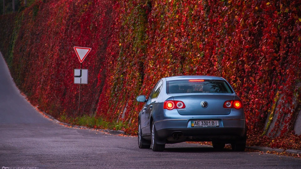 Volkswagen Passat Блакитна Перлина 2