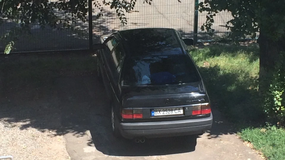 Volkswagen Passat «hippopotamus» 2