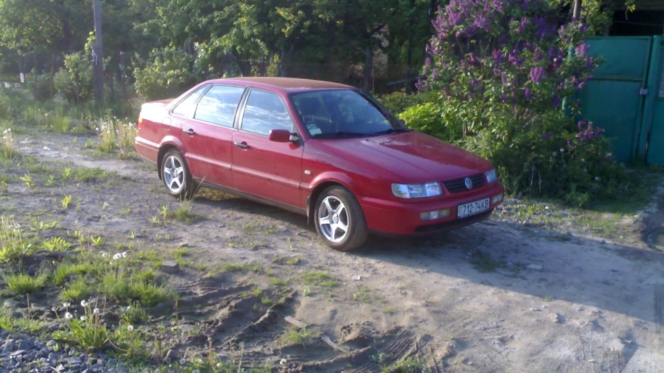 Volkswagen Passat Пасік