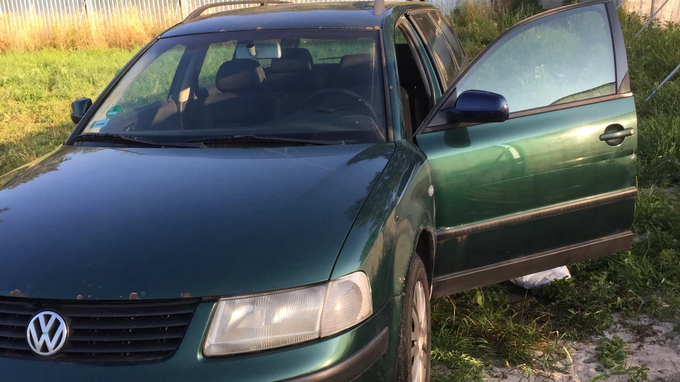 Volkswagen Passat Стрибуча жаба