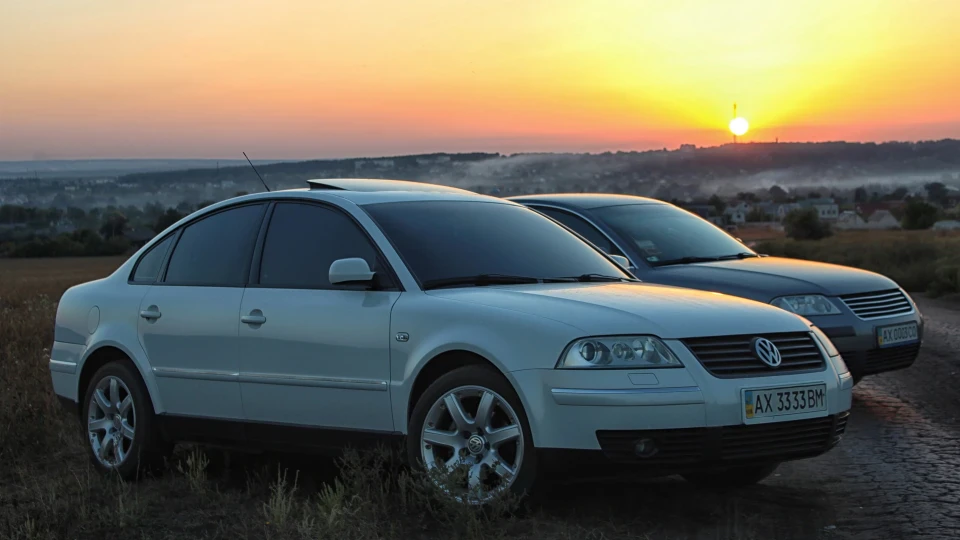 Volkswagen Passat Weißer Krokodil 2