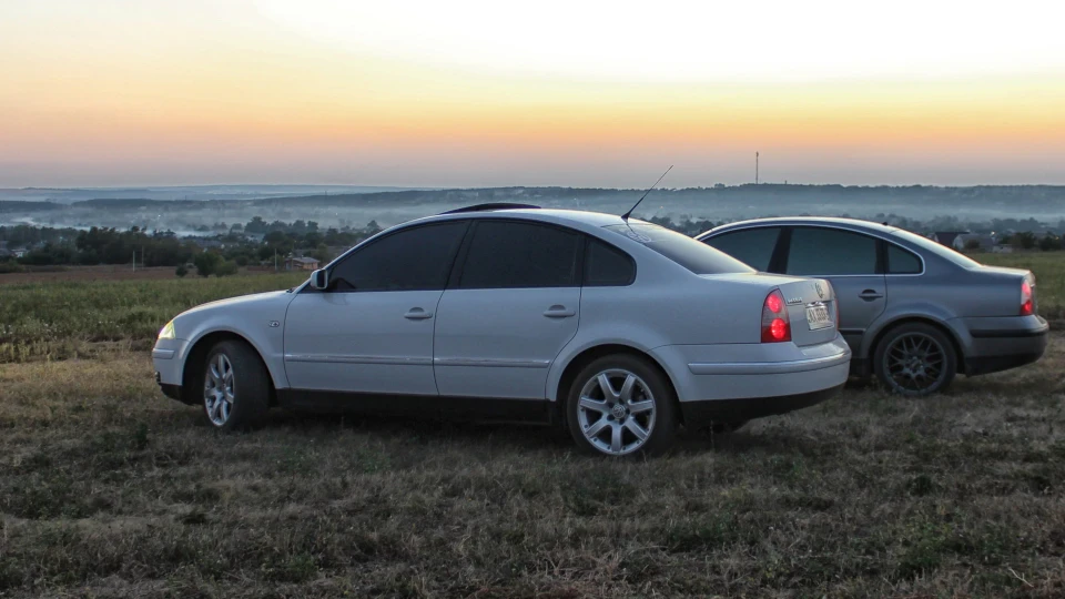 Volkswagen Passat Weißer Krokodil 3