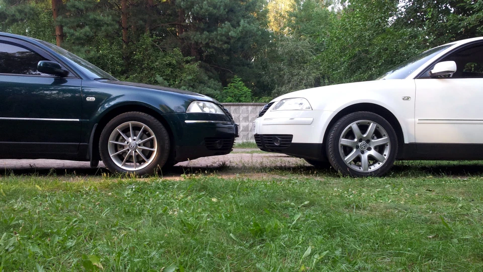 Volkswagen Passat Weißer Krokodil 4