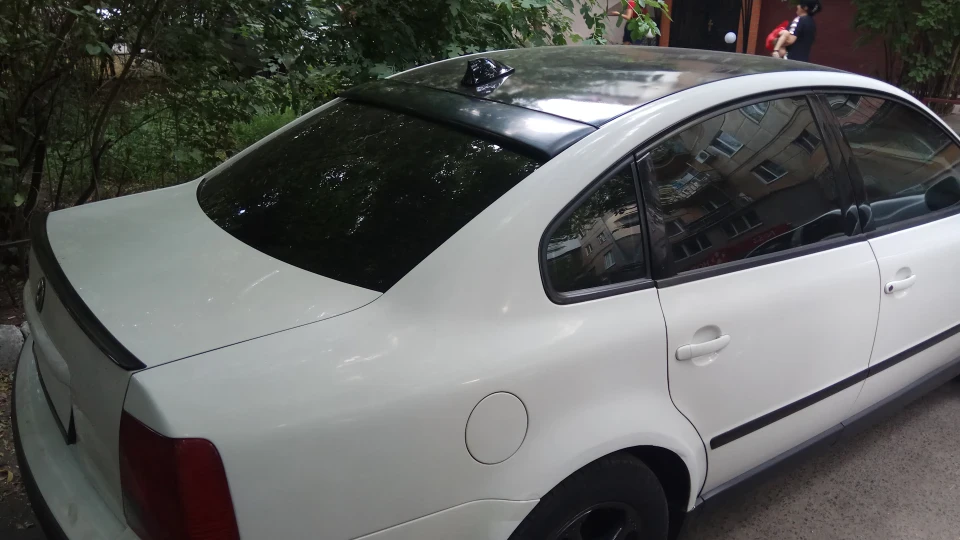 Volkswagen Passat ㋡Жорикцу 4