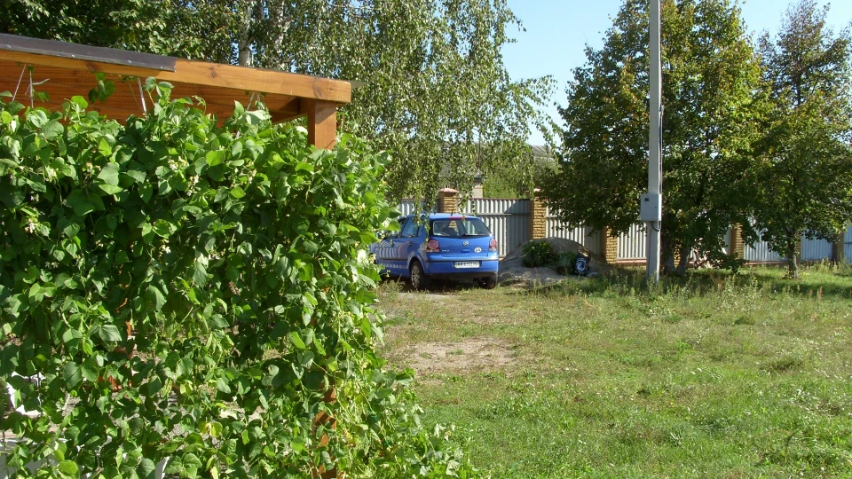Volkswagen Polo Hatchback BLUEbird