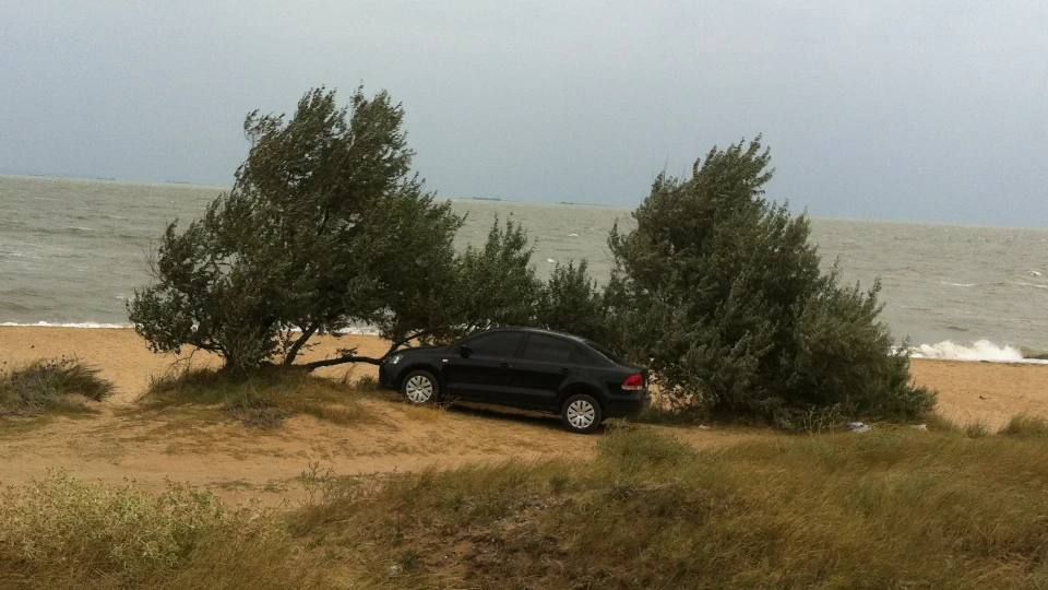Volkswagen Polo Sedan 5
