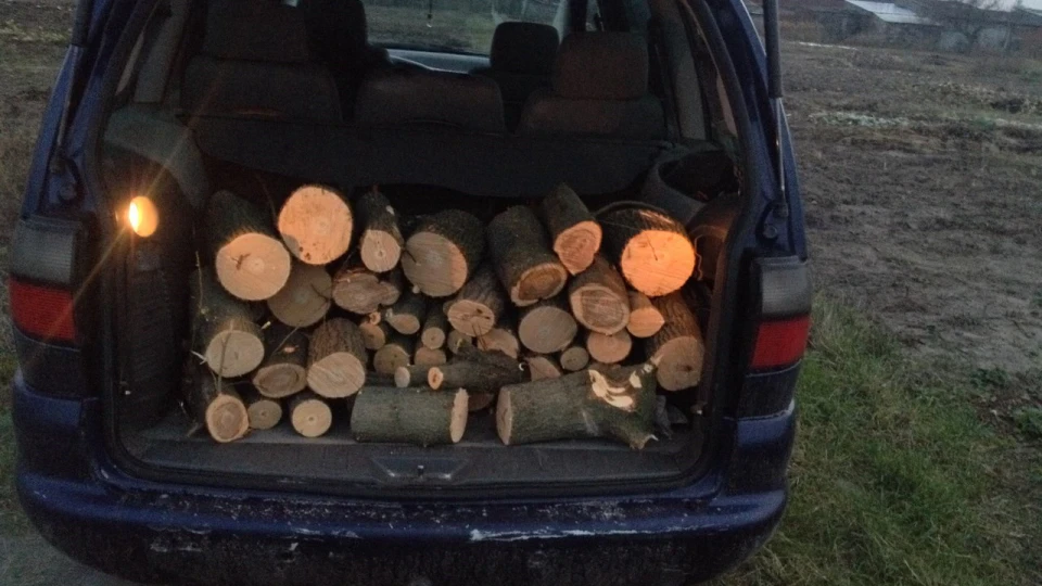 Volkswagen Sharan 1,9 81 кв 110 сс 5
