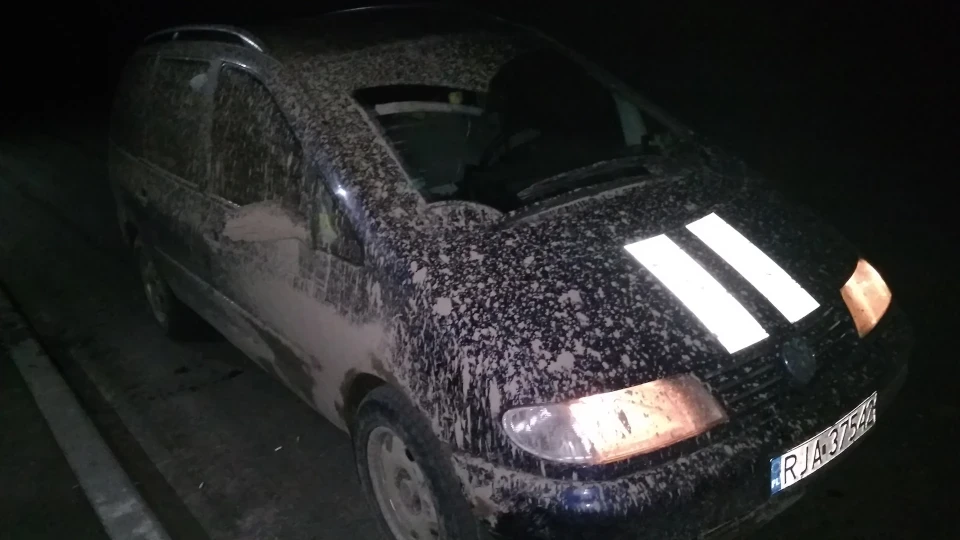 Volkswagen Sharan 1.9турбо, синя кулька. 4