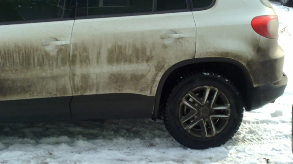 Volkswagen Tiguan 2.0 TDI Білий Тигр 3