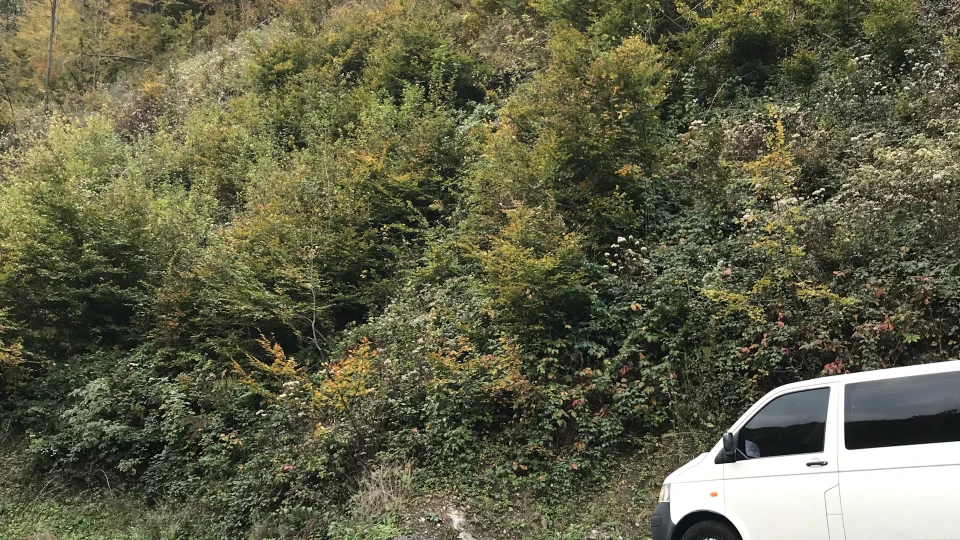 Volkswagen Transporter 2