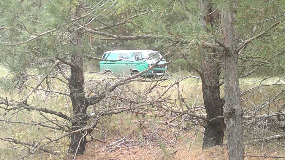 Volkswagen Transporter ДРОКОША 4