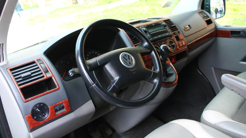 Volkswagen Transporter grüne schlange 3