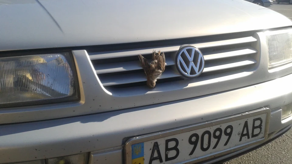 Volkswagen Vento AFN 1.9TDI 81kV 110 ps. 3