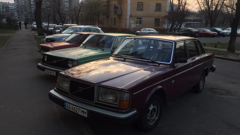 Volvo 244 Frau DLS 5